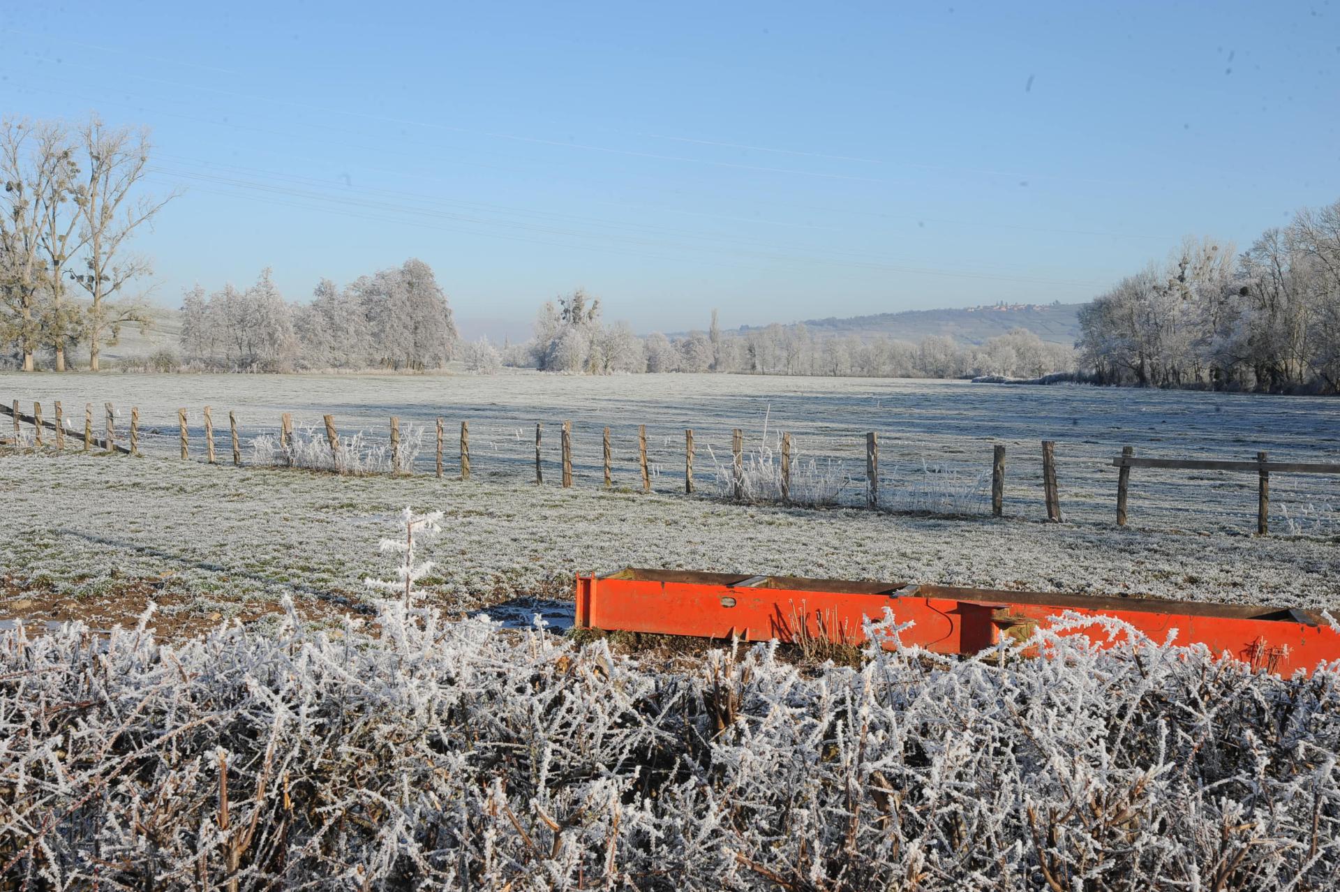 givre sur les champs  Commune de Saint Huruge